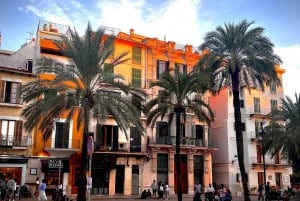 Palma Exclusive: Uppoudu kaupungin sieluun