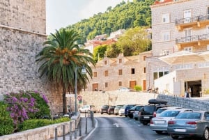 Palma: Ekspresvandring med en lokal på 60 minutter