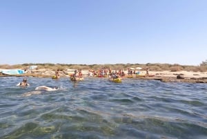 Palma: Familieutflukt i kajakk