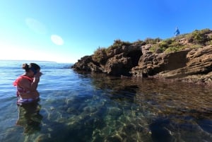 Palma: Familieutflukt i kajakk