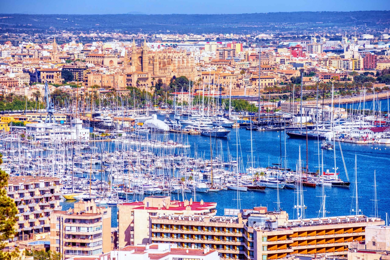 Palma: City Introduction in-App Guide & Audio