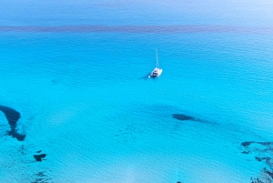 Palma: Palmabukta Cruise med drinker, snorkling og SUP