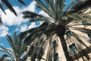 Palma: 'Historie og skønhed' - miljøvenlig tur på el-scooter