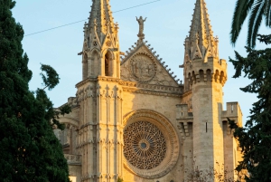 Palma: 'Historie og skønhed' - miljøvenlig tur på el-scooter