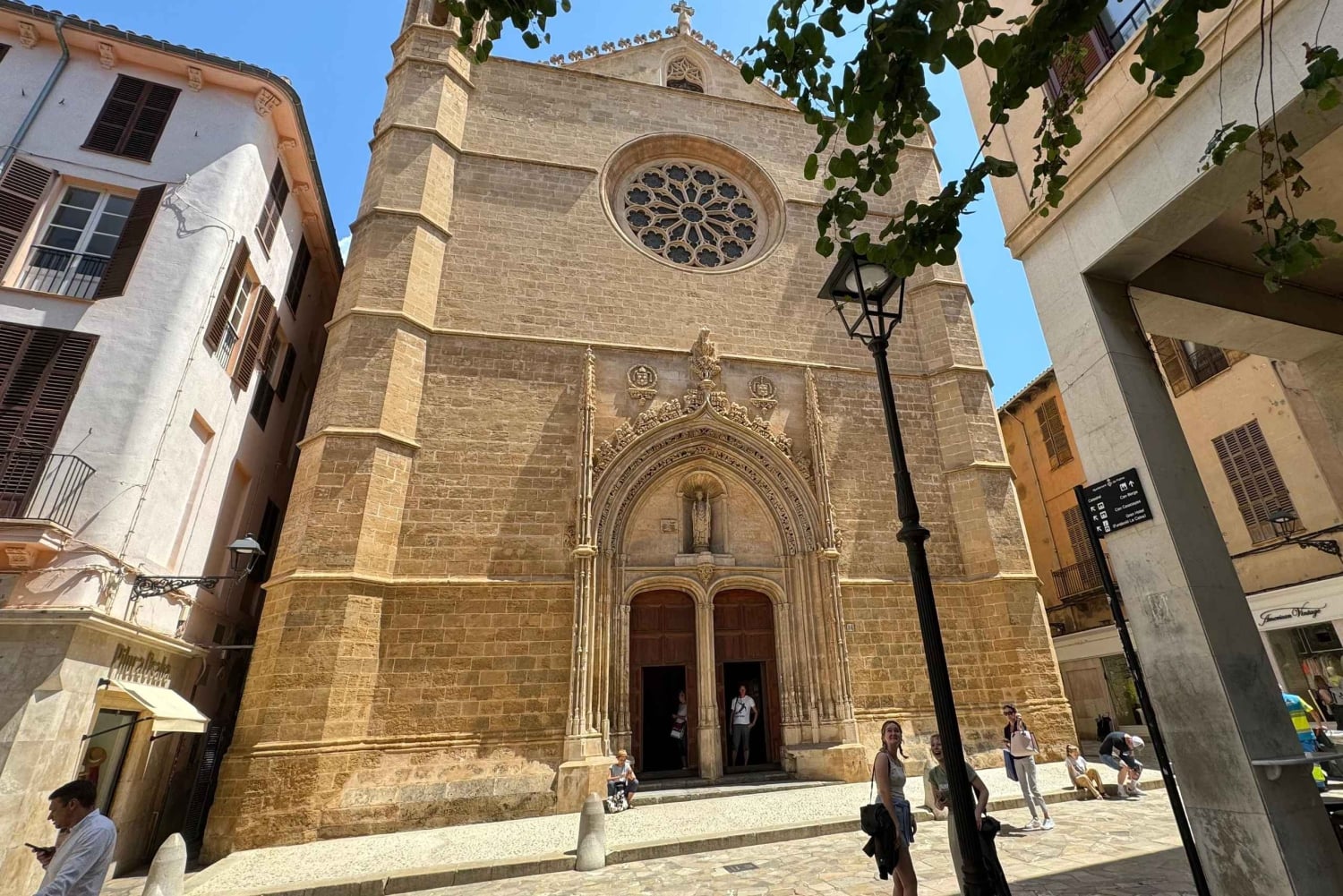 Palma henkilökohtaisesti ja kaukana väkijoukoista