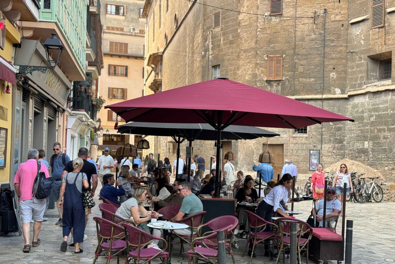 Palma henkilökohtaisesti ja kaukana väkijoukoista