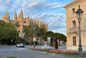 Palma in person and away from the crowds