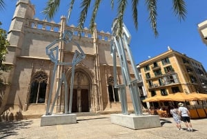 Palma in person and away from the crowds