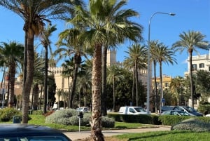 Palma henkilökohtaisesti ja kaukana väkijoukoista