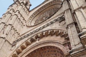 Palma: Luxuriöser E-Bike-Verleih mit Routenvorschlägen