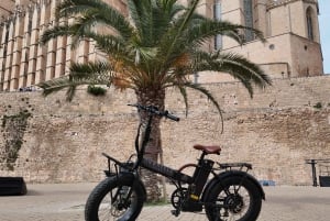Palma: Luxuriöser E-Bike-Verleih mit Routenvorschlägen