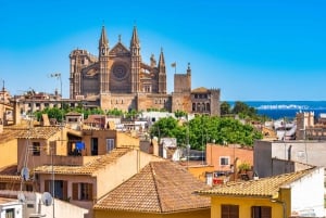 Palma Mallorca: hoogtepunten Zelfgeleide speurtocht en rondleiding