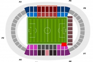 Palma: Mallorca RCD Match Tickets at Son Moix Stadium