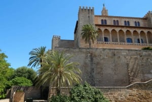 Il centro storico di Palma per la prima volta