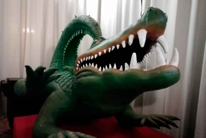 Palmas gamle bydel for første gang