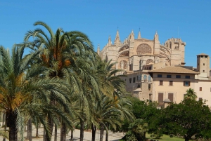 Palmas gamle bydel for første gang