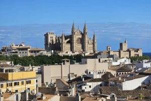 Palma: Tour guiado por el casco antiguo con catedral Skip-the-Line