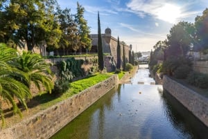 Palma: Tour guiado por el casco antiguo con catedral Skip-the-Line