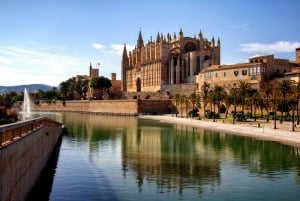 Palma: Tour guiado por el casco antiguo con catedral Skip-the-Line
