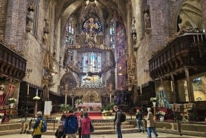 Palma: Tour guiado por el casco antiguo con catedral Skip-the-Line