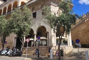 Palma: Tour guiado por el casco antiguo con catedral Skip-the-Line