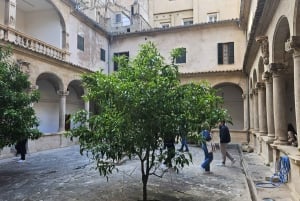 Palma: Tour guiado por el casco antiguo con catedral Skip-the-Line