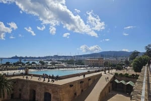 Palma: Tour guiado por el casco antiguo con catedral Skip-the-Line