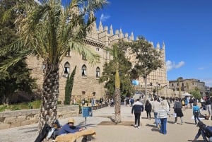 Palma: Tour guiado por el casco antiguo con catedral Skip-the-Line