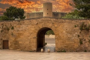 Palma: Tour guiado por el casco antiguo con catedral Skip-the-Line