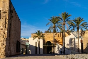 Palma: Tour guiado por el casco antiguo con catedral Skip-the-Line