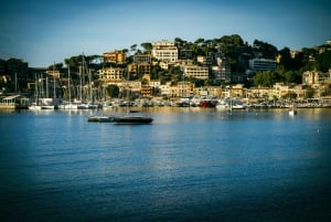 Palma: Tour guiado por el casco antiguo con catedral Skip-the-Line