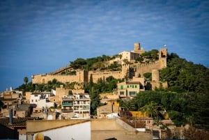 Palma: Tour guiado por el casco antiguo con catedral Skip-the-Line