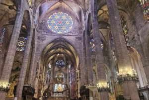 Palma: Guidet tur i den gamle bydel med katedralen Skip-the-Line