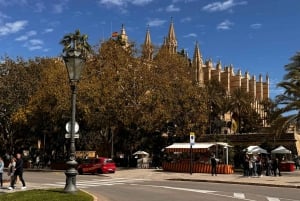 Palma Old Town Insider Tour with visit of the Cathedral