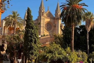 Palma Old Town Insider Tour with visit of the Cathedral