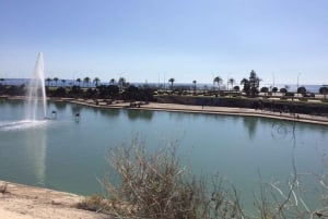 Rondleiding door de oude stad van Palma met bezoek aan de kathedraal