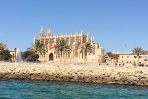 Rondleiding door de oude stad van Palma met bezoek aan de kathedraal