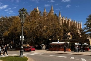 Rondleiding door de oude stad van Palma met bezoek aan de kathedraal