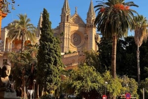 Rondleiding door de oude stad van Palma met bezoek aan de kathedraal