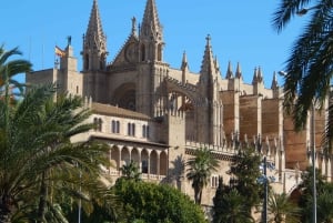 Palma: Rundvisning i den gamle bydel og skip køen-billet til katedralen