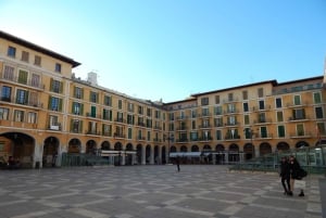 Palma: Rundvisning i den gamle bydel og skip køen-billet til katedralen