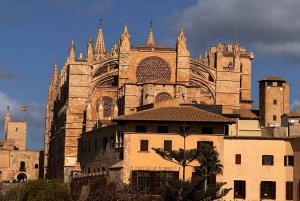 Tour por el casco antiguo de Palma