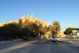 Tour por el casco antiguo de Palma