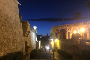 Tour por el casco antiguo de Palma