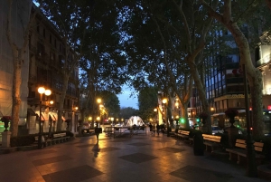 Tour por el casco antiguo de Palma