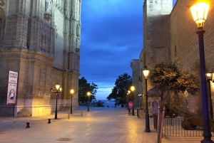 Tour por el casco antiguo de Palma