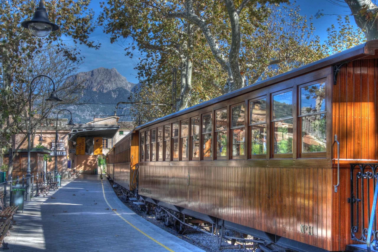 Palma: Vintagetåg i apelsinodalen och rundtur på apelsinodling