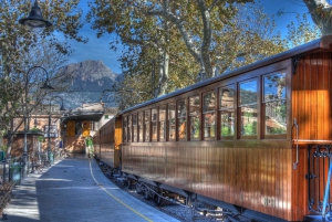 Palma: Vintagetåg i apelsinodalen och rundtur på apelsinodling