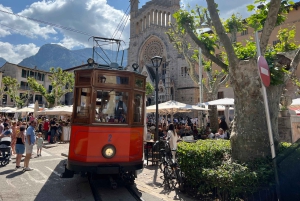 Palma: Vintagetåg i apelsinodalen och rundtur på apelsinodling