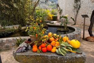 Palma: Vintagetåg i apelsinodalen och rundtur på apelsinodling